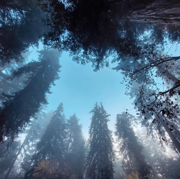 Heather's Loft - Picture 2 of 15